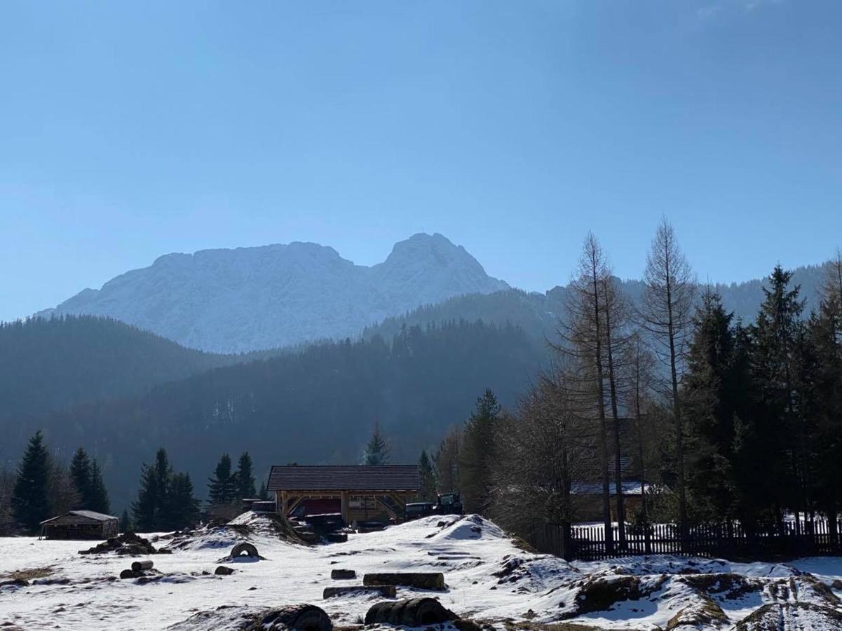 Apartament Mysliwski Zakopane Exterior foto